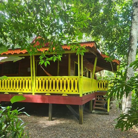 El Jardin De Playa Negra Villa Puerto Viejo de Talamanca Exterior foto