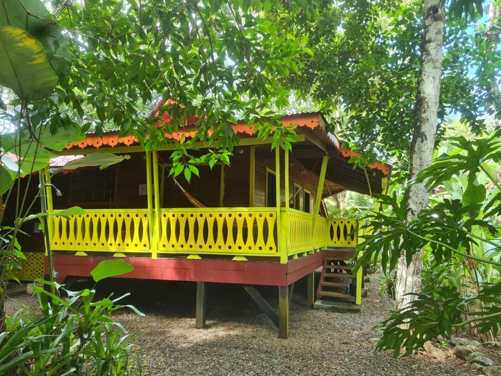 El Jardin De Playa Negra Villa Puerto Viejo de Talamanca Exterior foto
