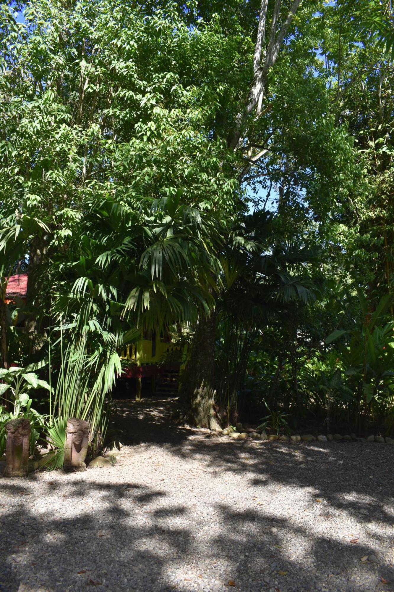 El Jardin De Playa Negra Villa Puerto Viejo de Talamanca Exterior foto