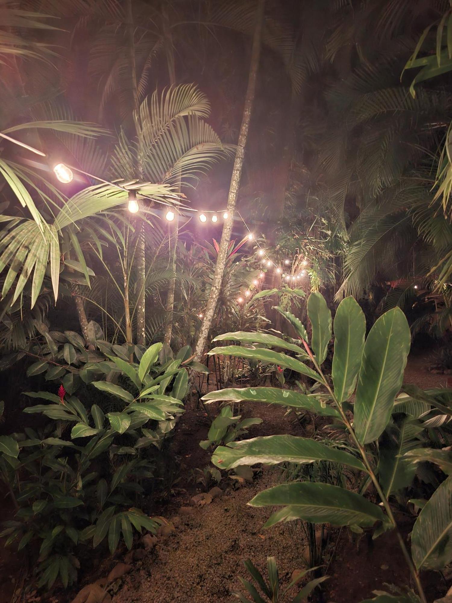 El Jardin De Playa Negra Villa Puerto Viejo de Talamanca Exterior foto