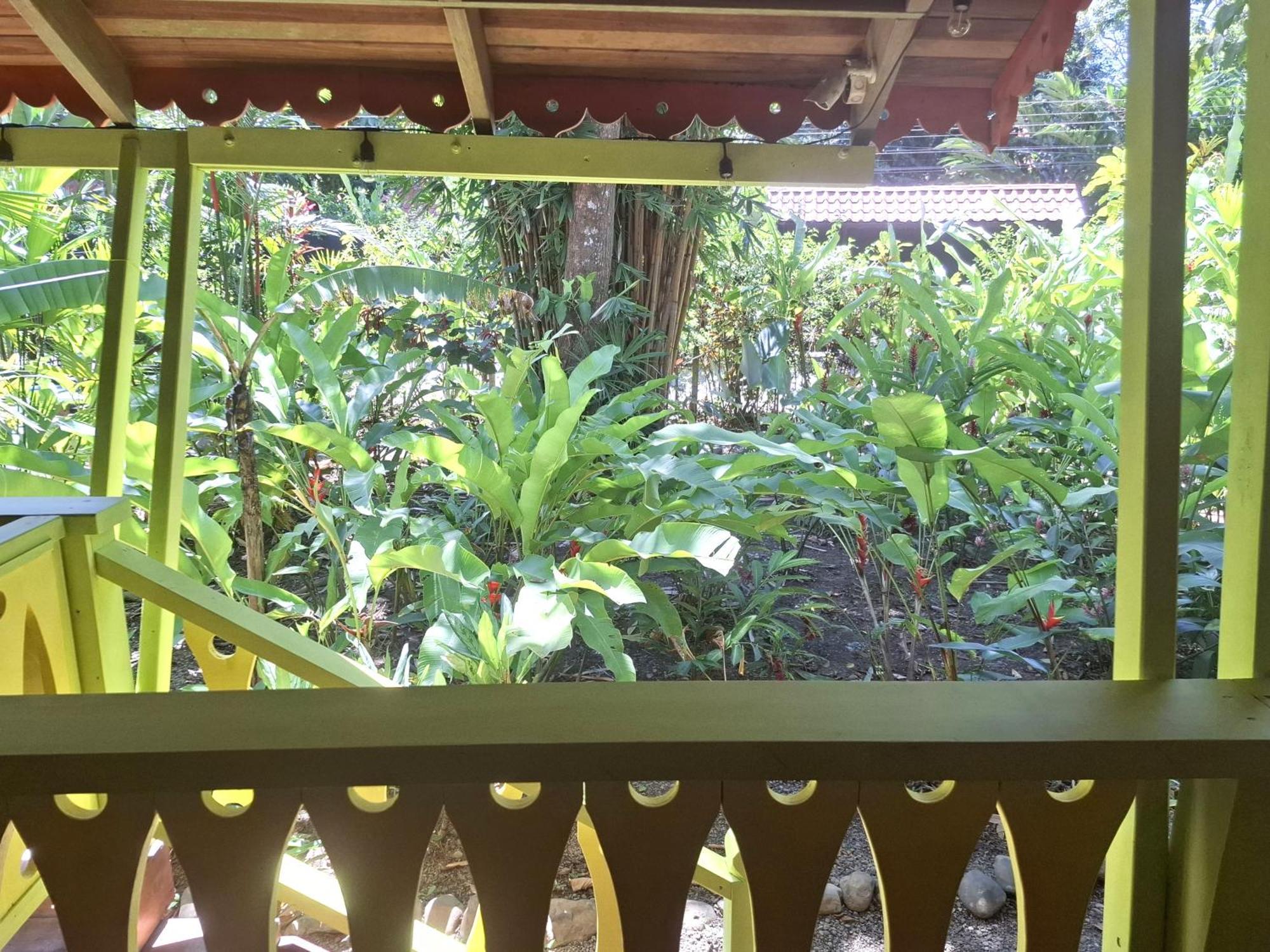 El Jardin De Playa Negra Villa Puerto Viejo de Talamanca Exterior foto
