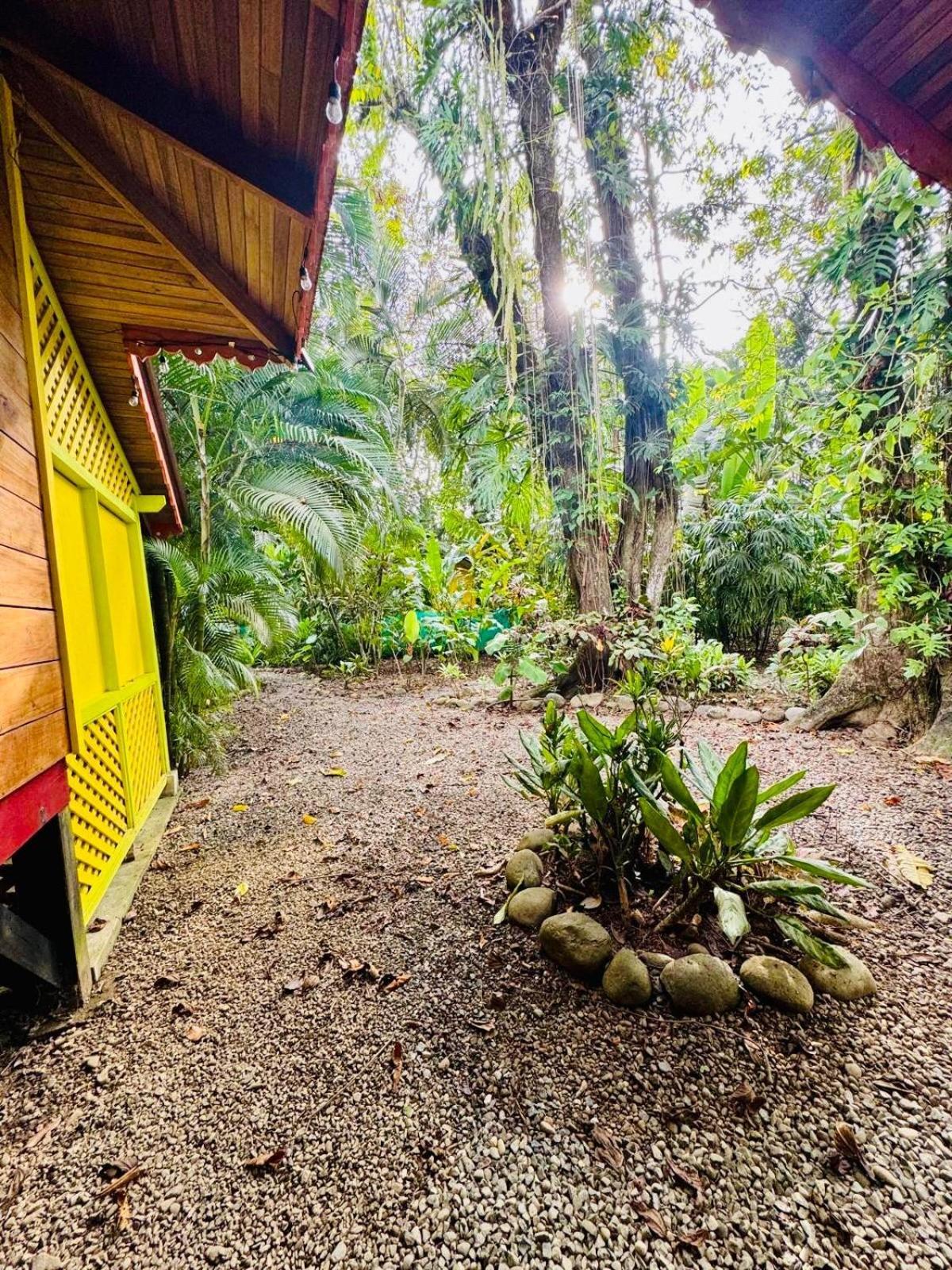 El Jardin De Playa Negra Villa Puerto Viejo de Talamanca Exterior foto