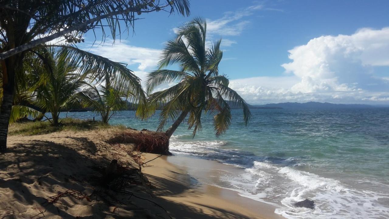 El Jardin De Playa Negra Villa Puerto Viejo de Talamanca Exterior foto